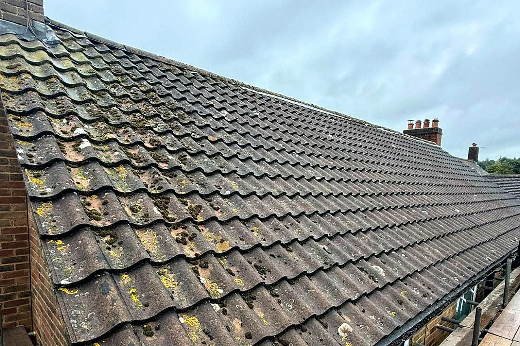 A tile roof before the work, the tiles pitted and covered in moss and lichen